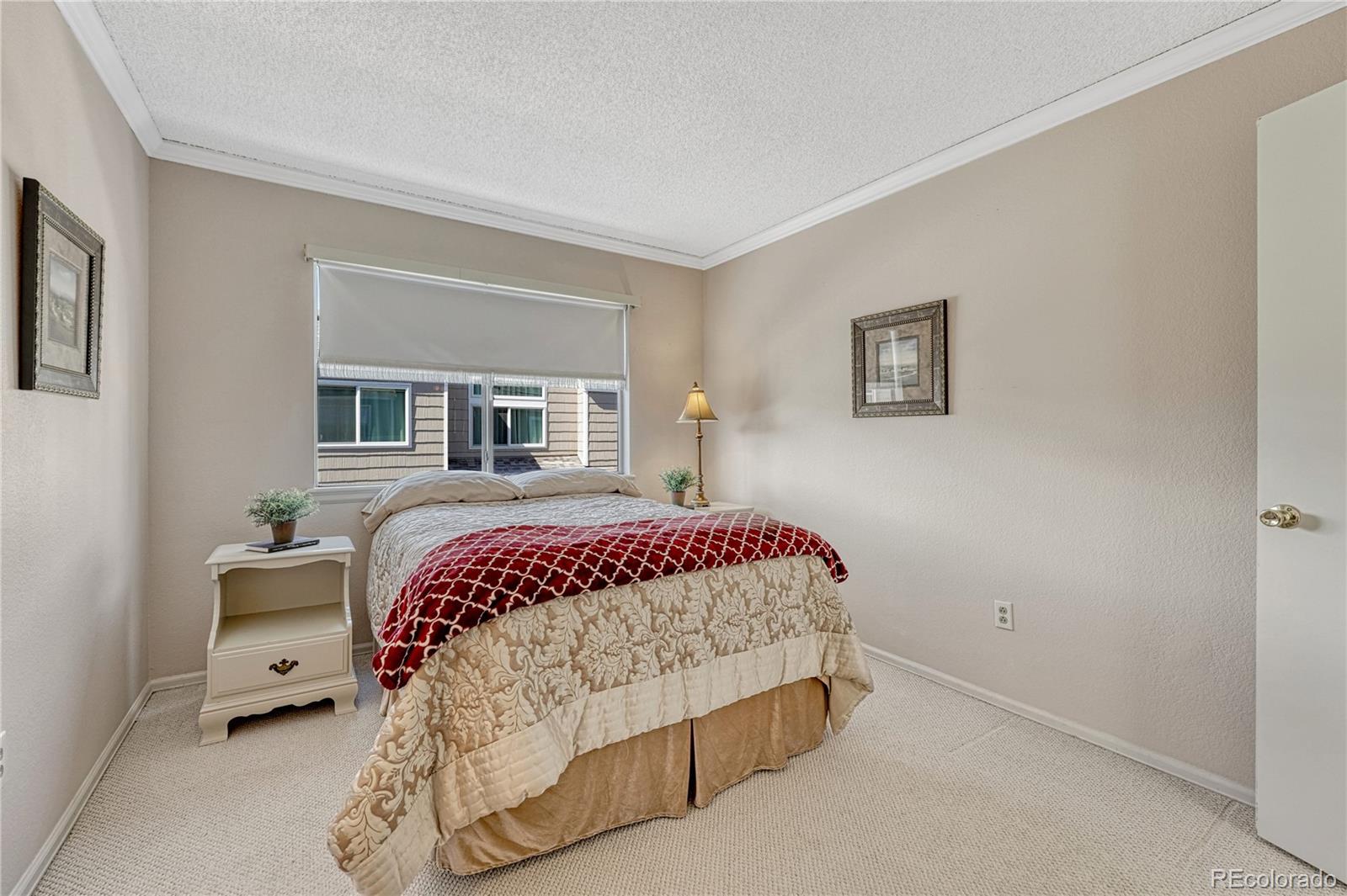 MLS Image #25 for 145  blue spruce court,highlands ranch, Colorado
