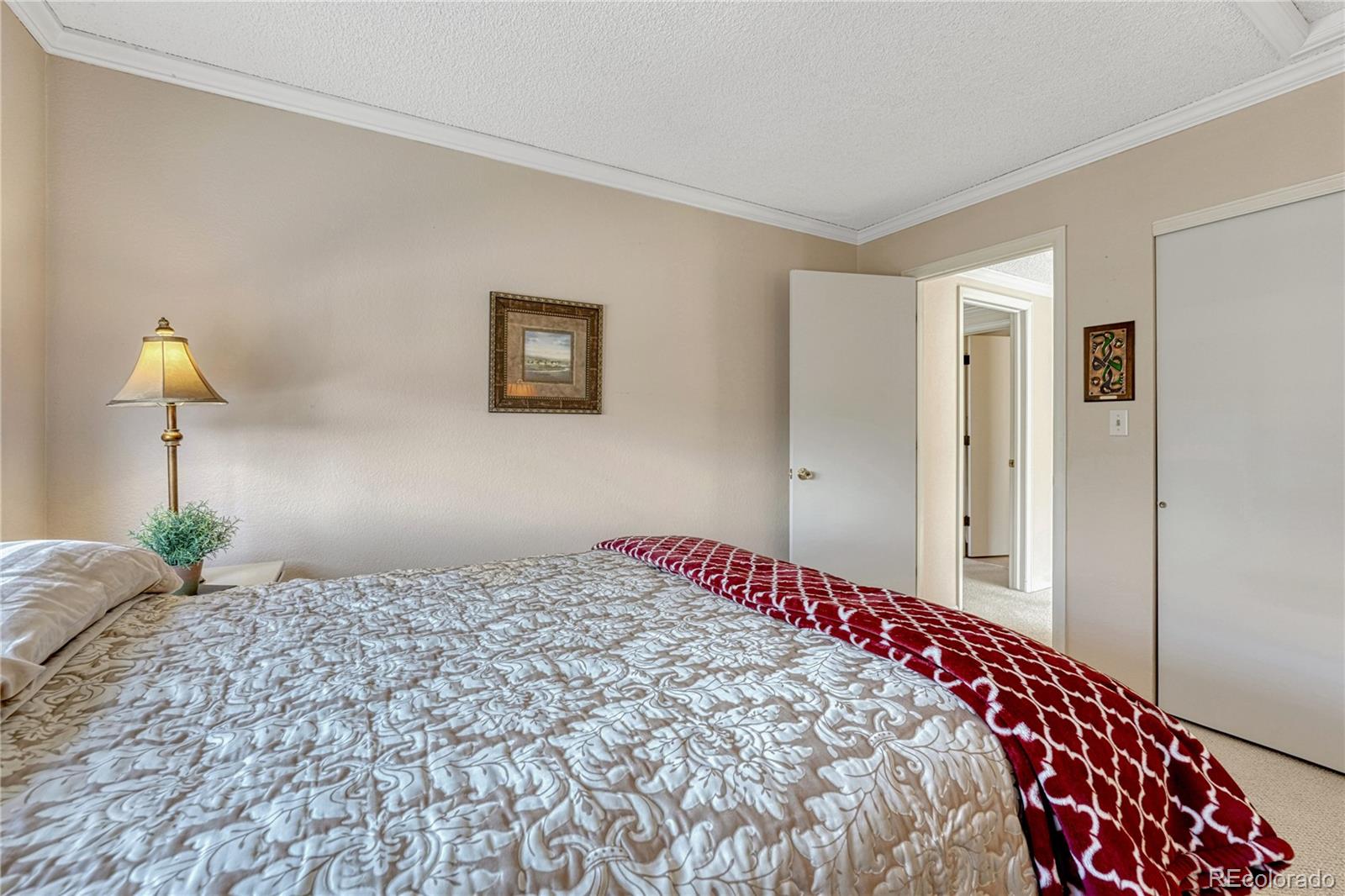 MLS Image #26 for 145  blue spruce court,highlands ranch, Colorado