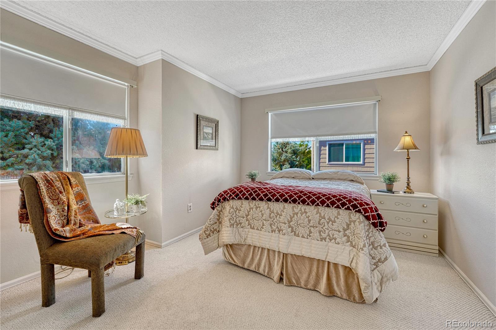 MLS Image #27 for 145  blue spruce court,highlands ranch, Colorado