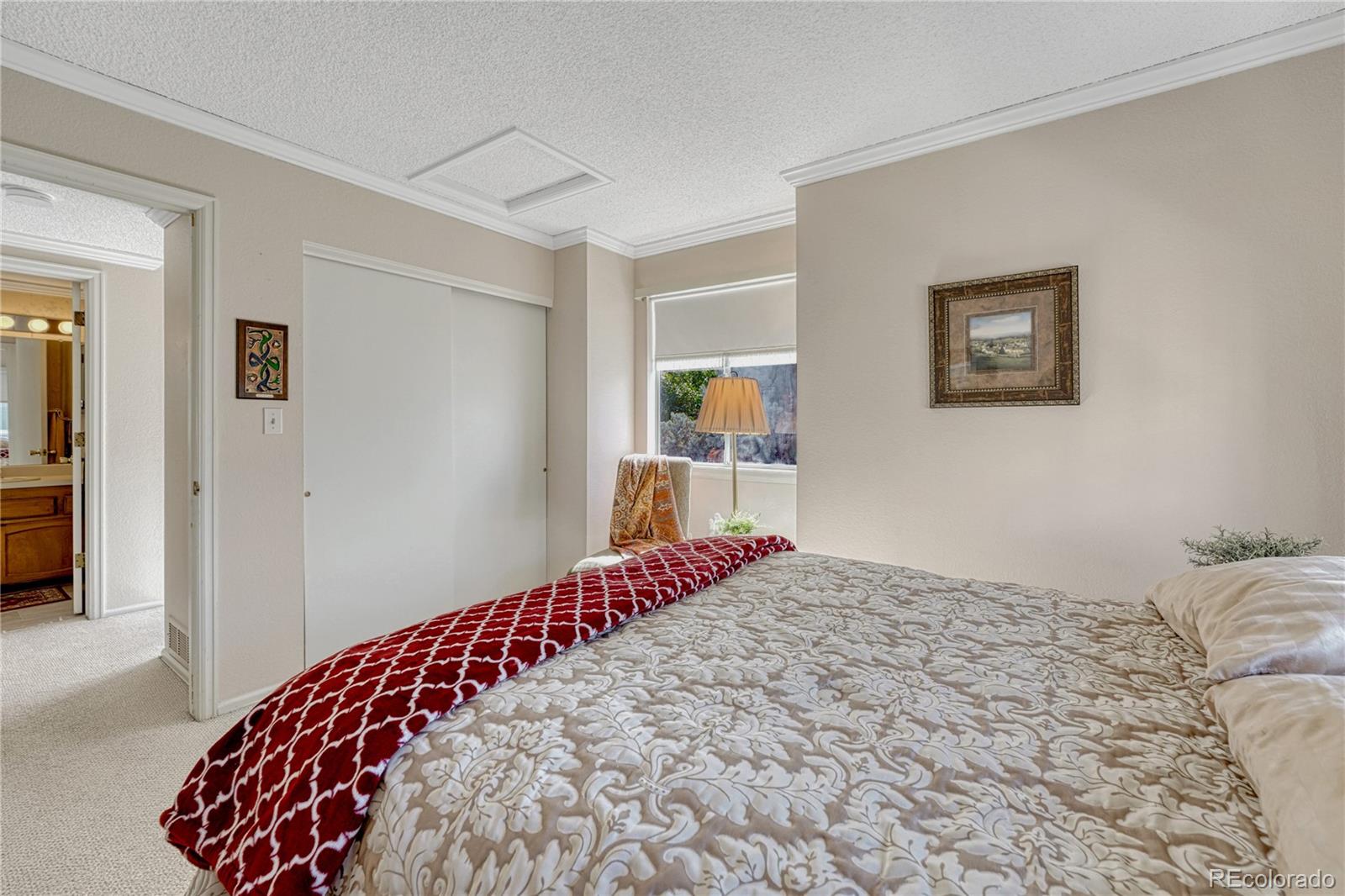 MLS Image #28 for 145  blue spruce court,highlands ranch, Colorado