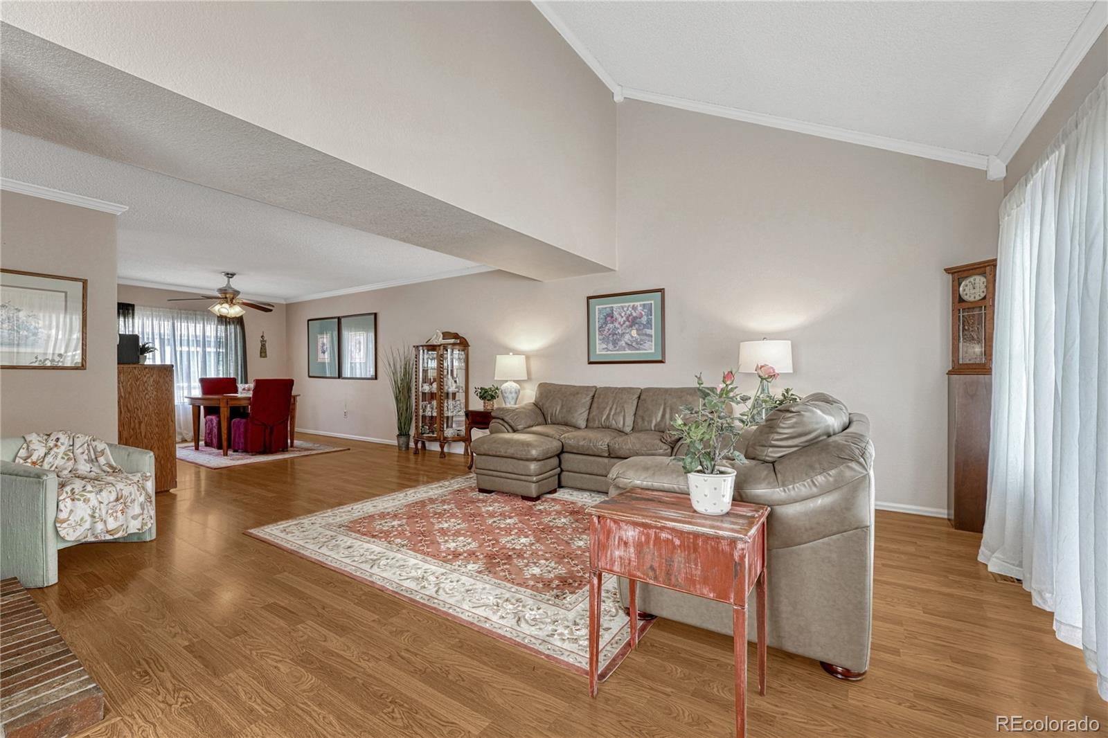 MLS Image #7 for 145  blue spruce court,highlands ranch, Colorado