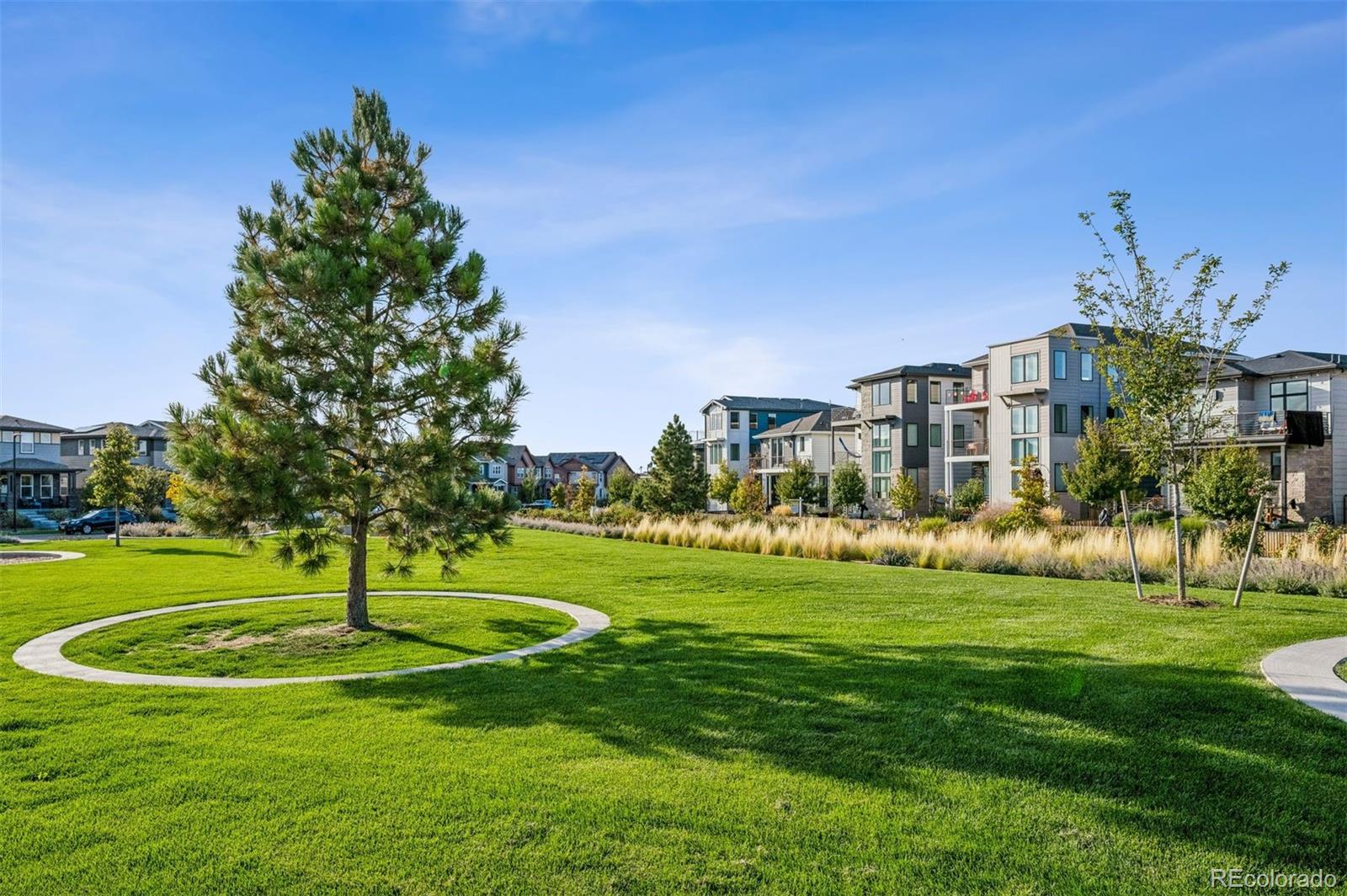MLS Image #33 for 21325 e 59th drive,aurora, Colorado