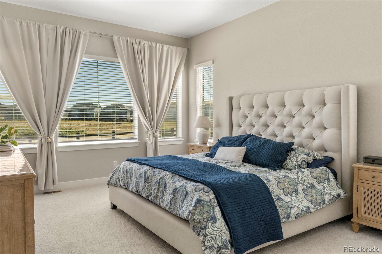 MLS Image #15 for 3115  carabiner street,castle rock, Colorado