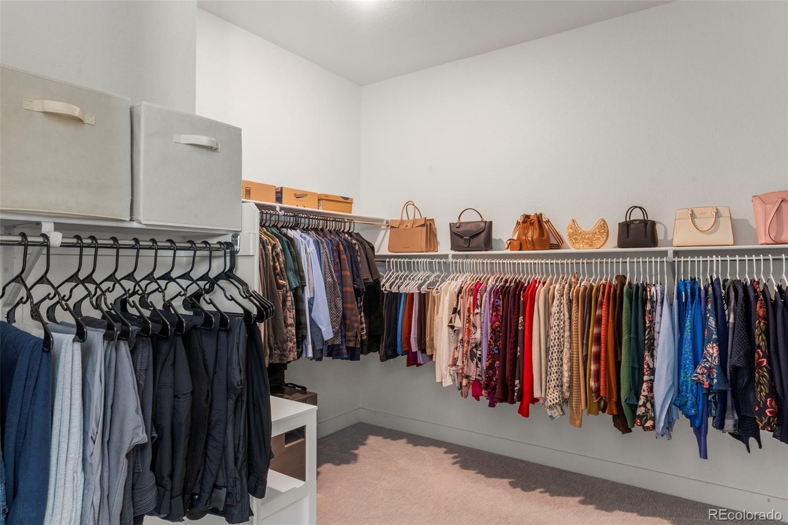 MLS Image #18 for 3115  carabiner street,castle rock, Colorado