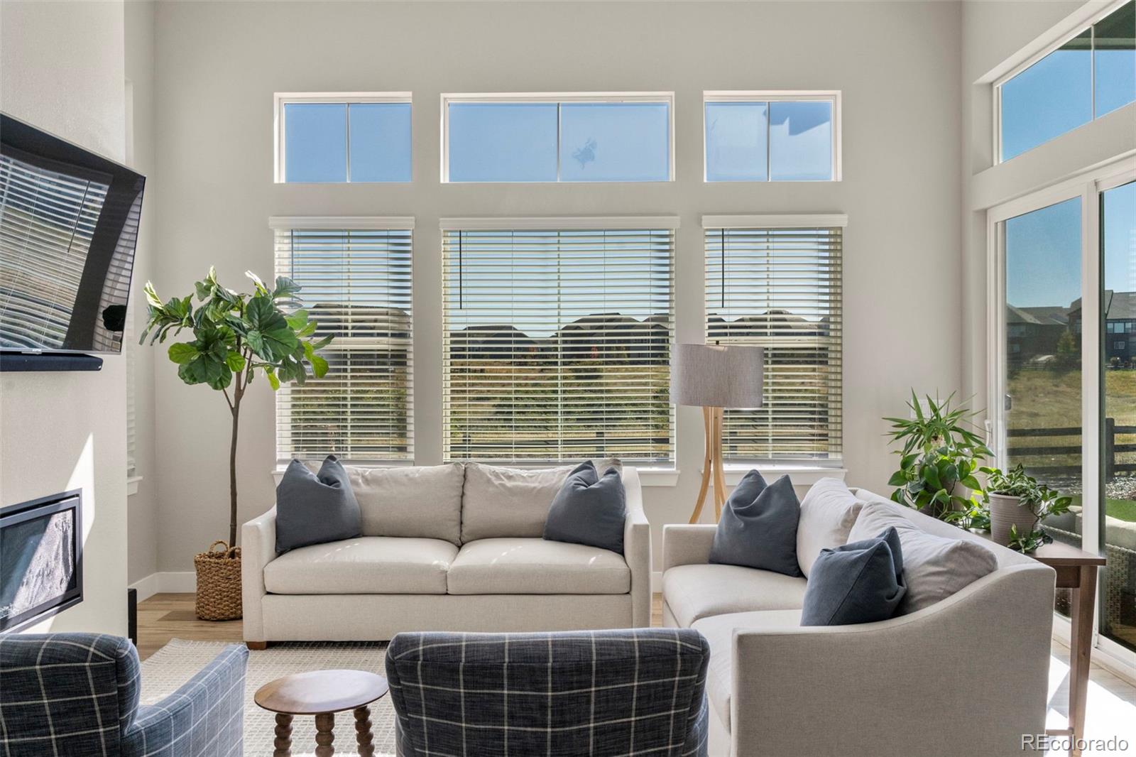 MLS Image #5 for 3115  carabiner street,castle rock, Colorado