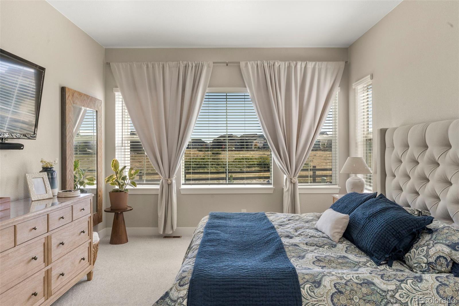 MLS Image #6 for 3115  carabiner street,castle rock, Colorado