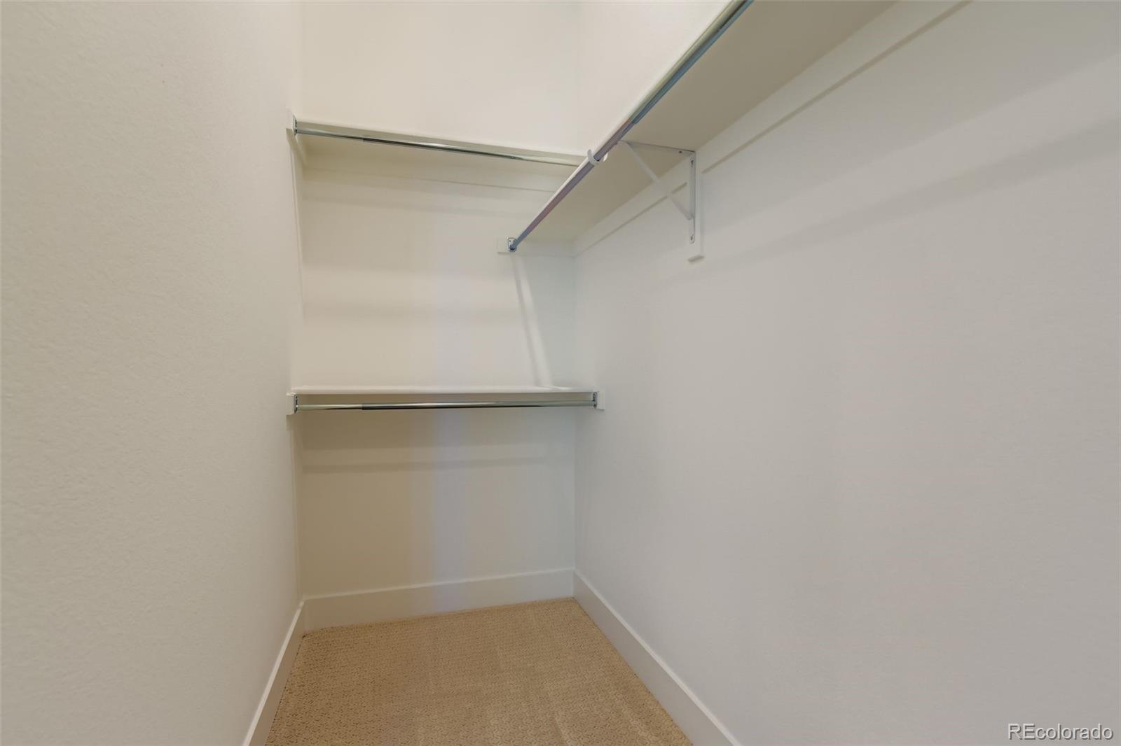 MLS Image #19 for 435  basin daisy street,castle rock, Colorado