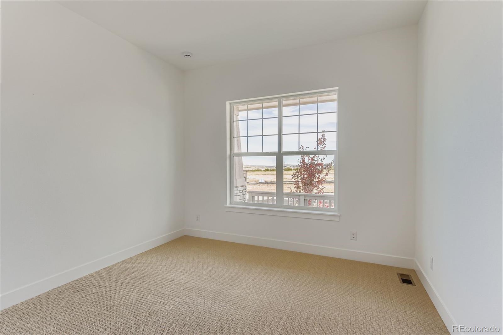 MLS Image #20 for 435  basin daisy street,castle rock, Colorado