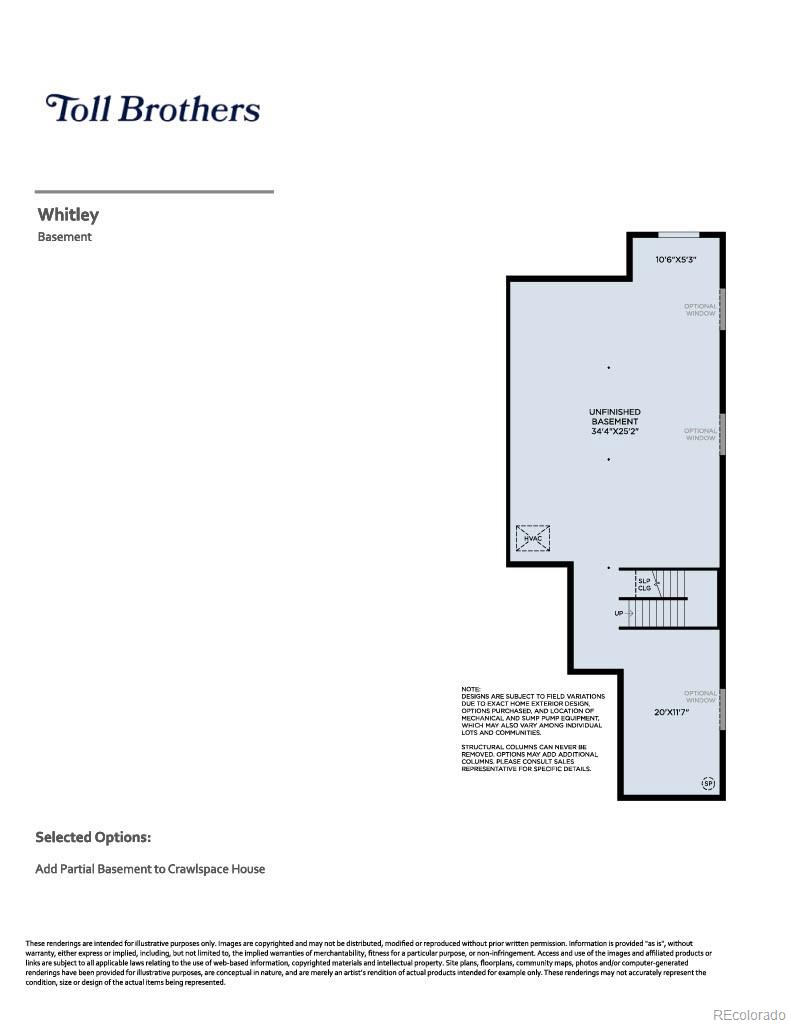 MLS Image #29 for 435  basin daisy street,castle rock, Colorado