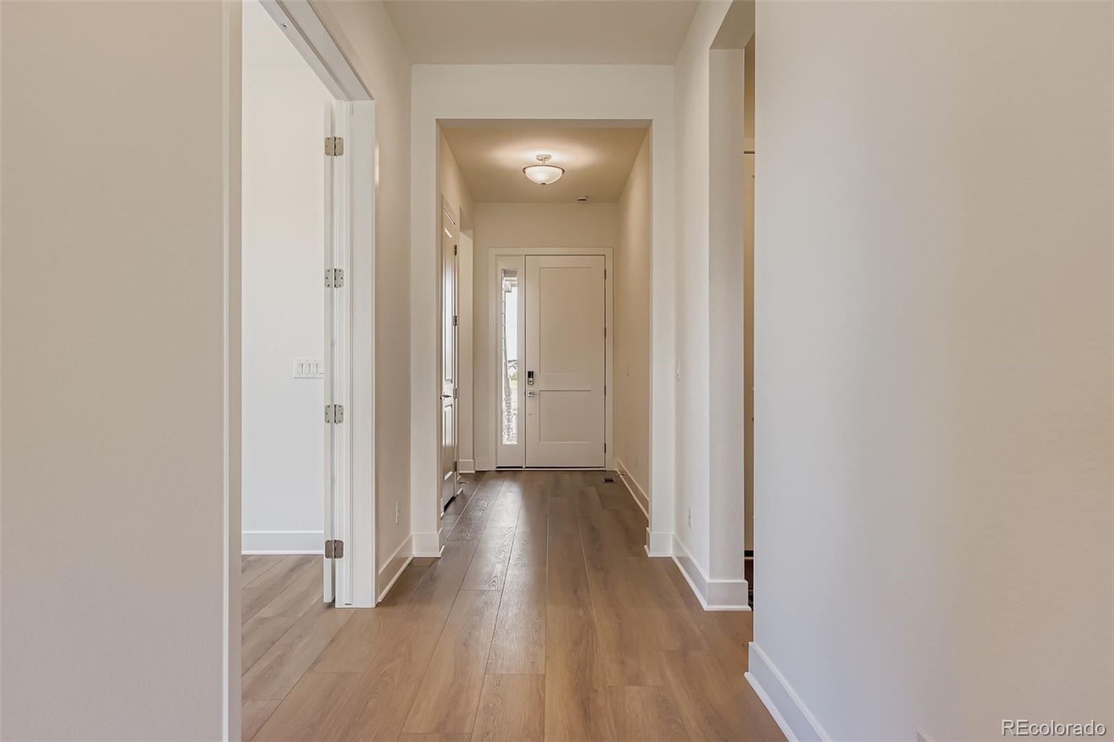 MLS Image #4 for 435  basin daisy street,castle rock, Colorado