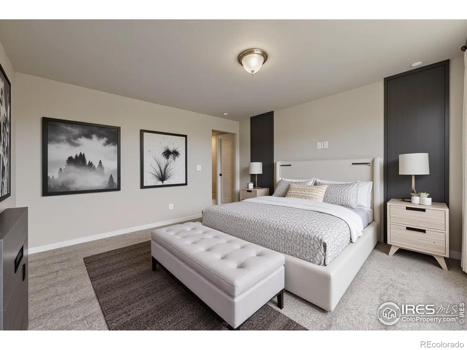 MLS Image #20 for 13  chipeta way,lochbuie, Colorado