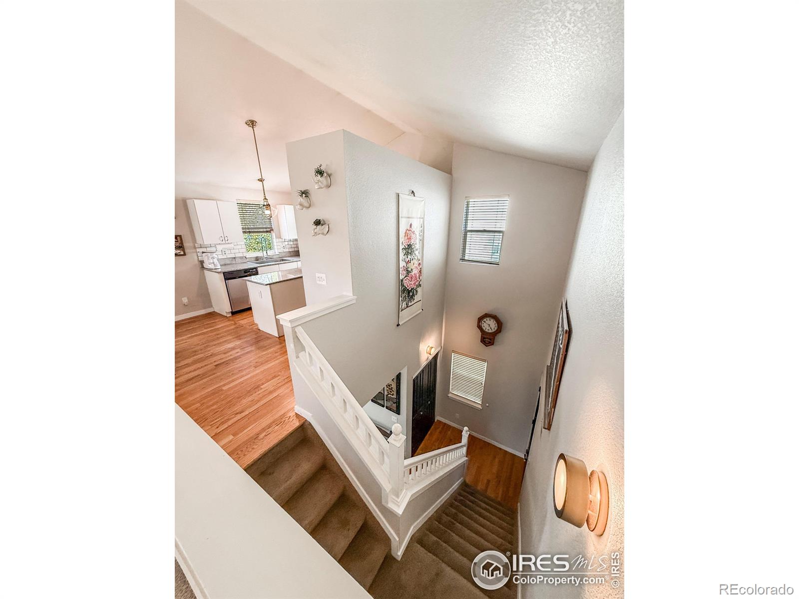 MLS Image #5 for 767  thornwood circle,longmont, Colorado