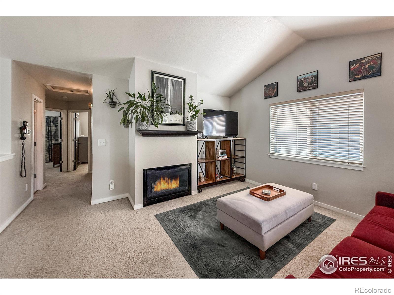 MLS Image #9 for 767  thornwood circle,longmont, Colorado