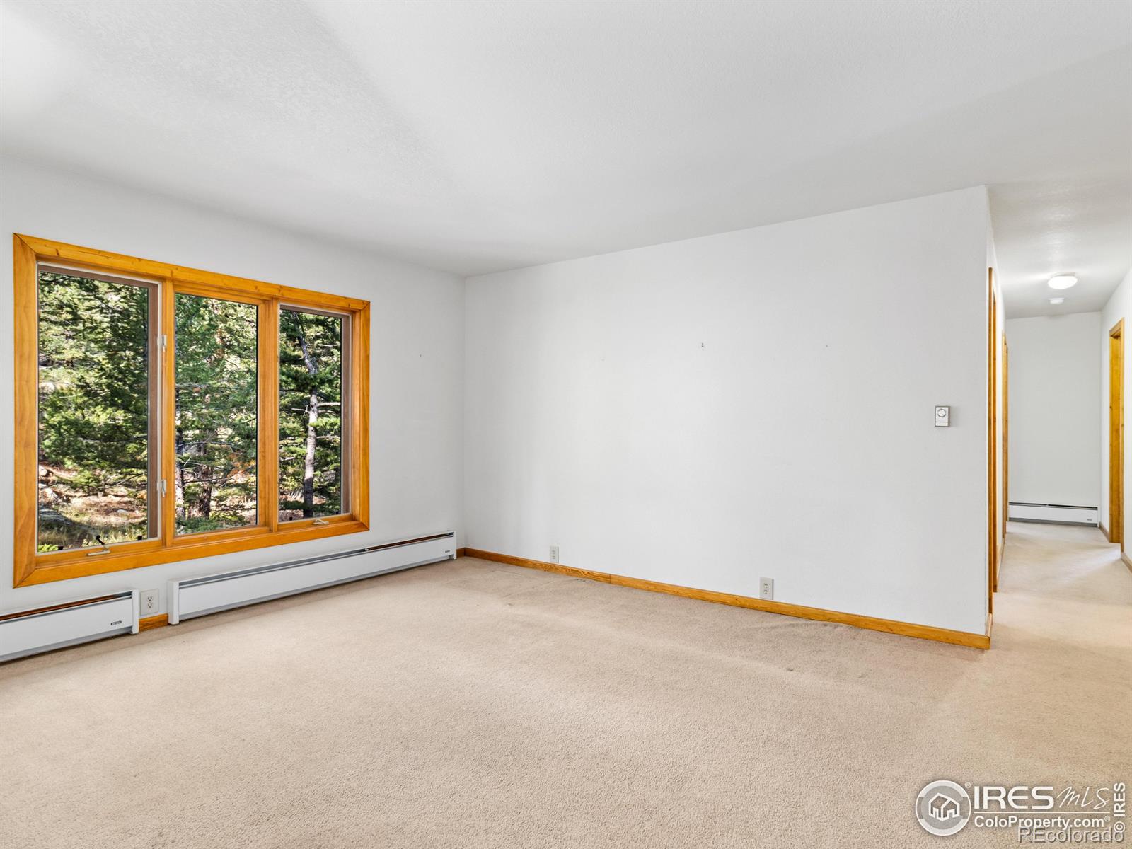 MLS Image #10 for 255  apache ,lyons, Colorado