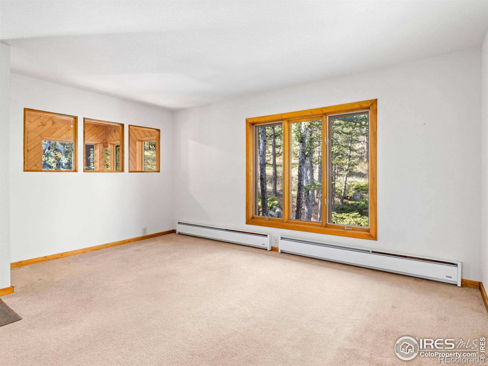 MLS Image #11 for 255  apache ,lyons, Colorado