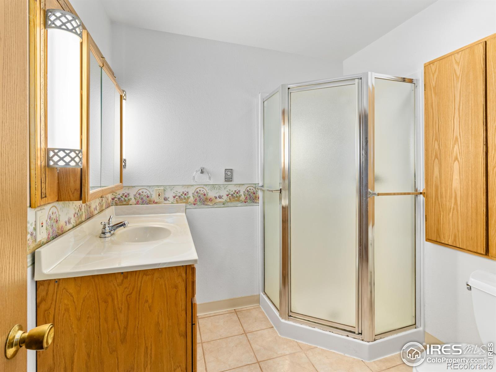 MLS Image #14 for 255  apache ,lyons, Colorado