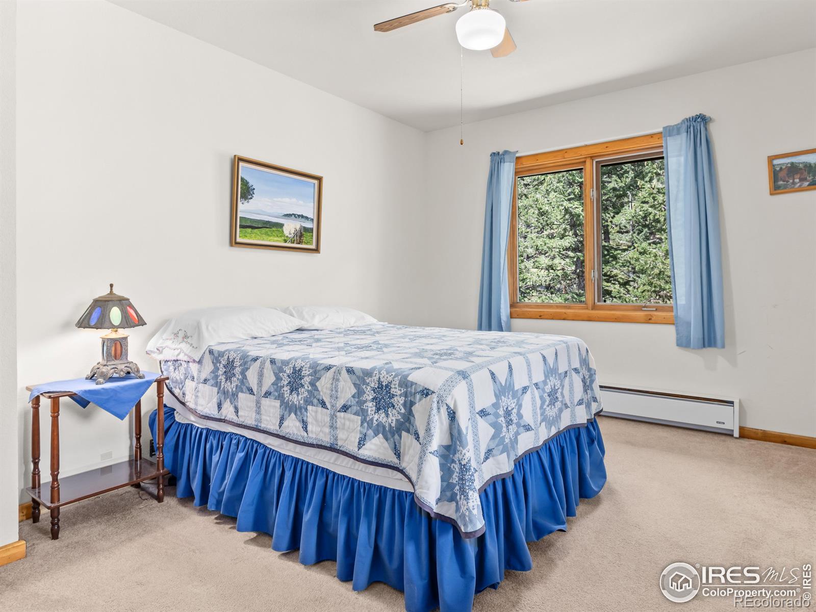 MLS Image #16 for 255  apache ,lyons, Colorado