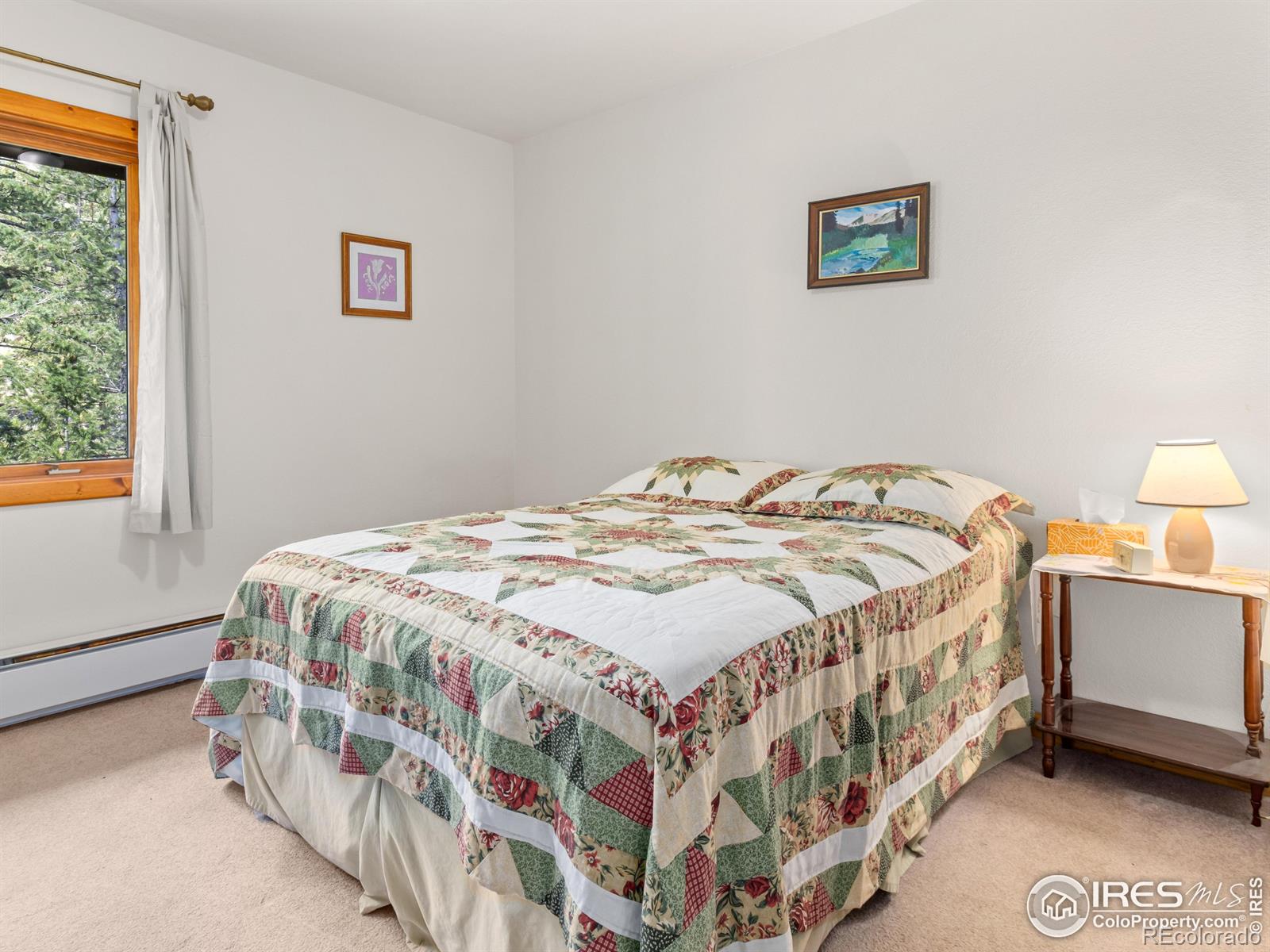 MLS Image #18 for 255  apache ,lyons, Colorado