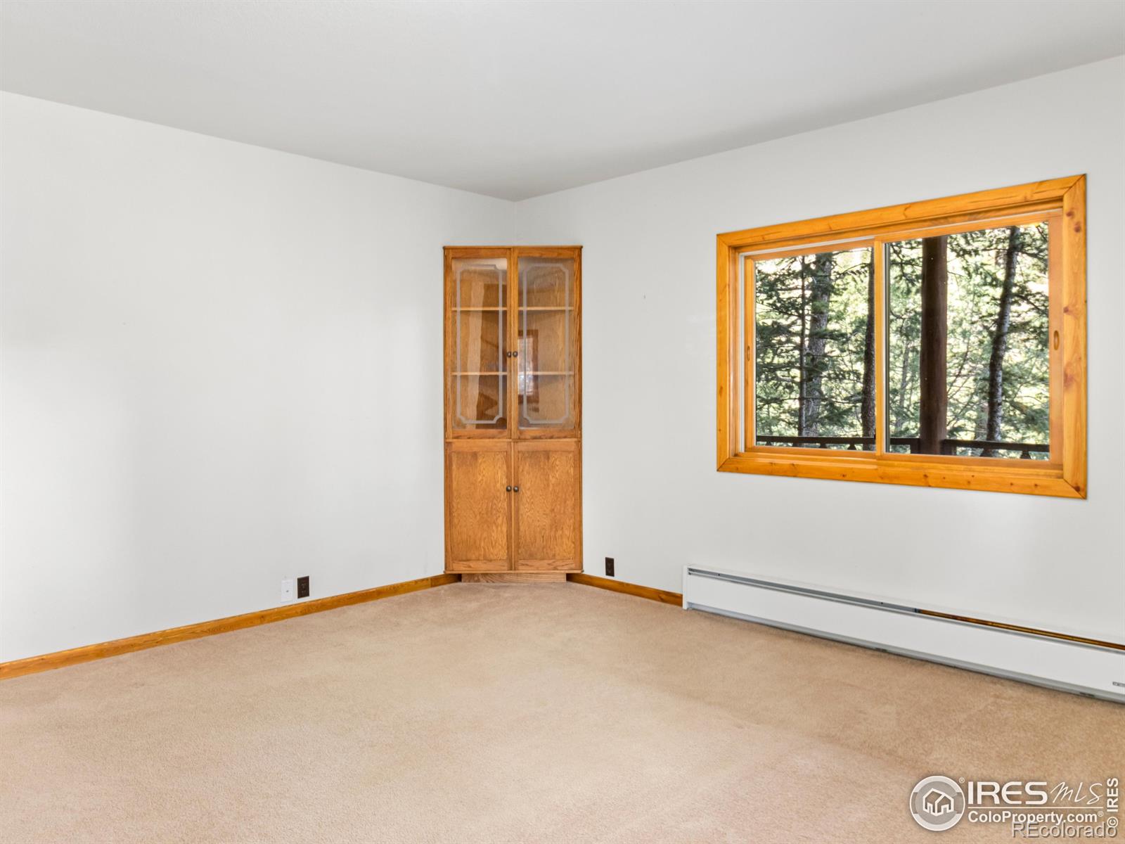 MLS Image #20 for 255  apache ,lyons, Colorado