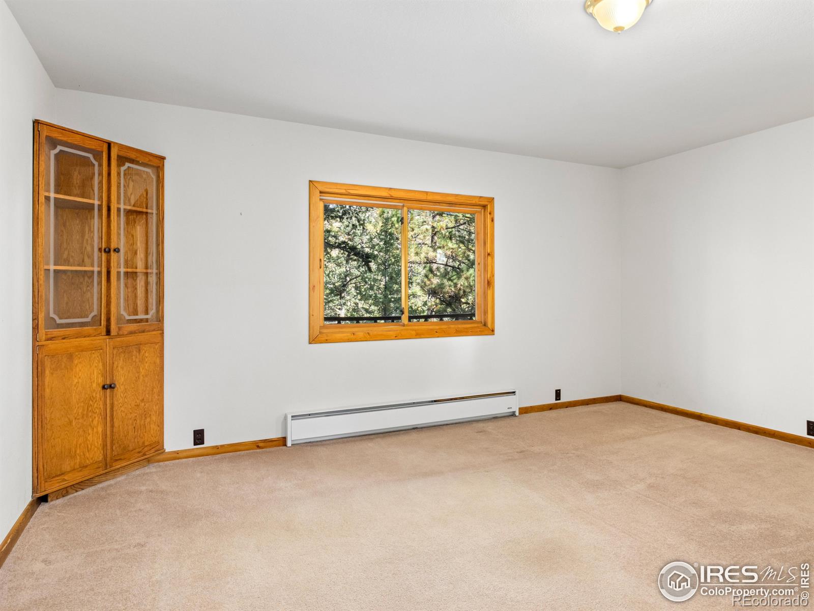 MLS Image #21 for 255  apache ,lyons, Colorado