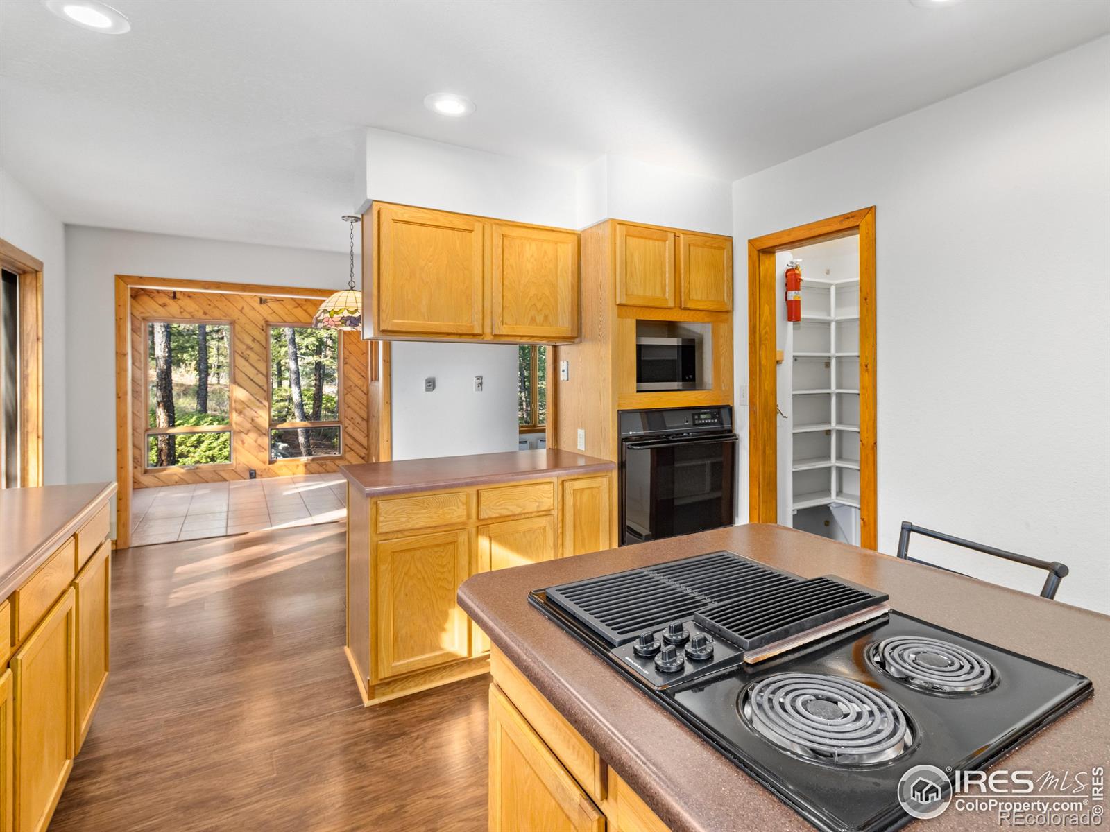 MLS Image #5 for 255  apache ,lyons, Colorado
