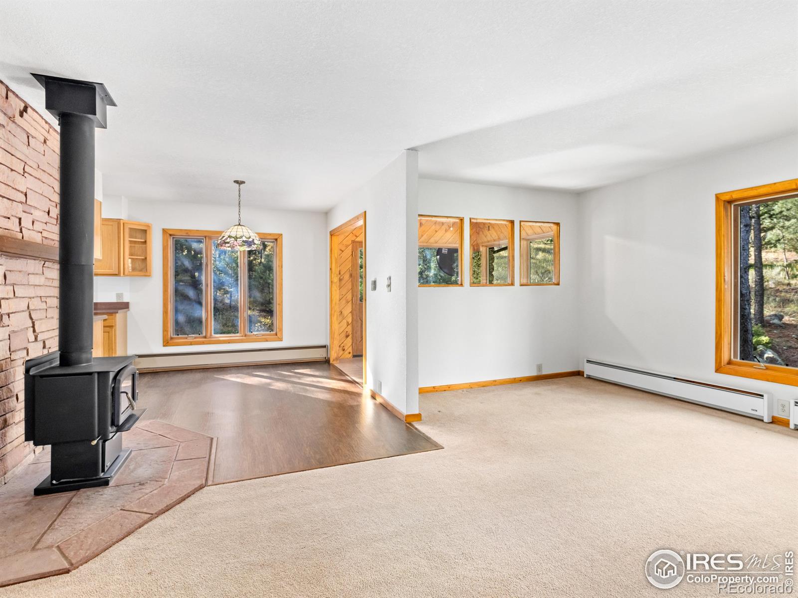 MLS Image #9 for 255  apache ,lyons, Colorado