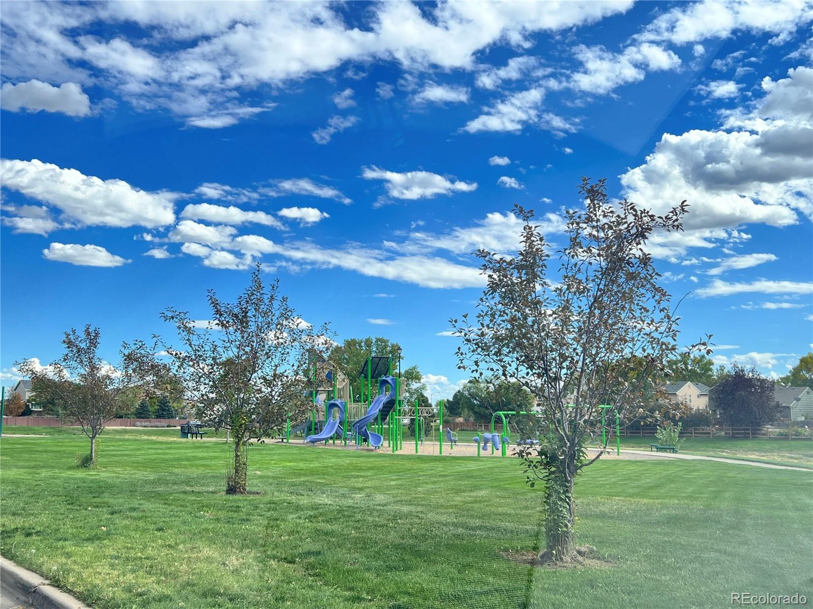MLS Image #19 for 13028  grape court,thornton, Colorado