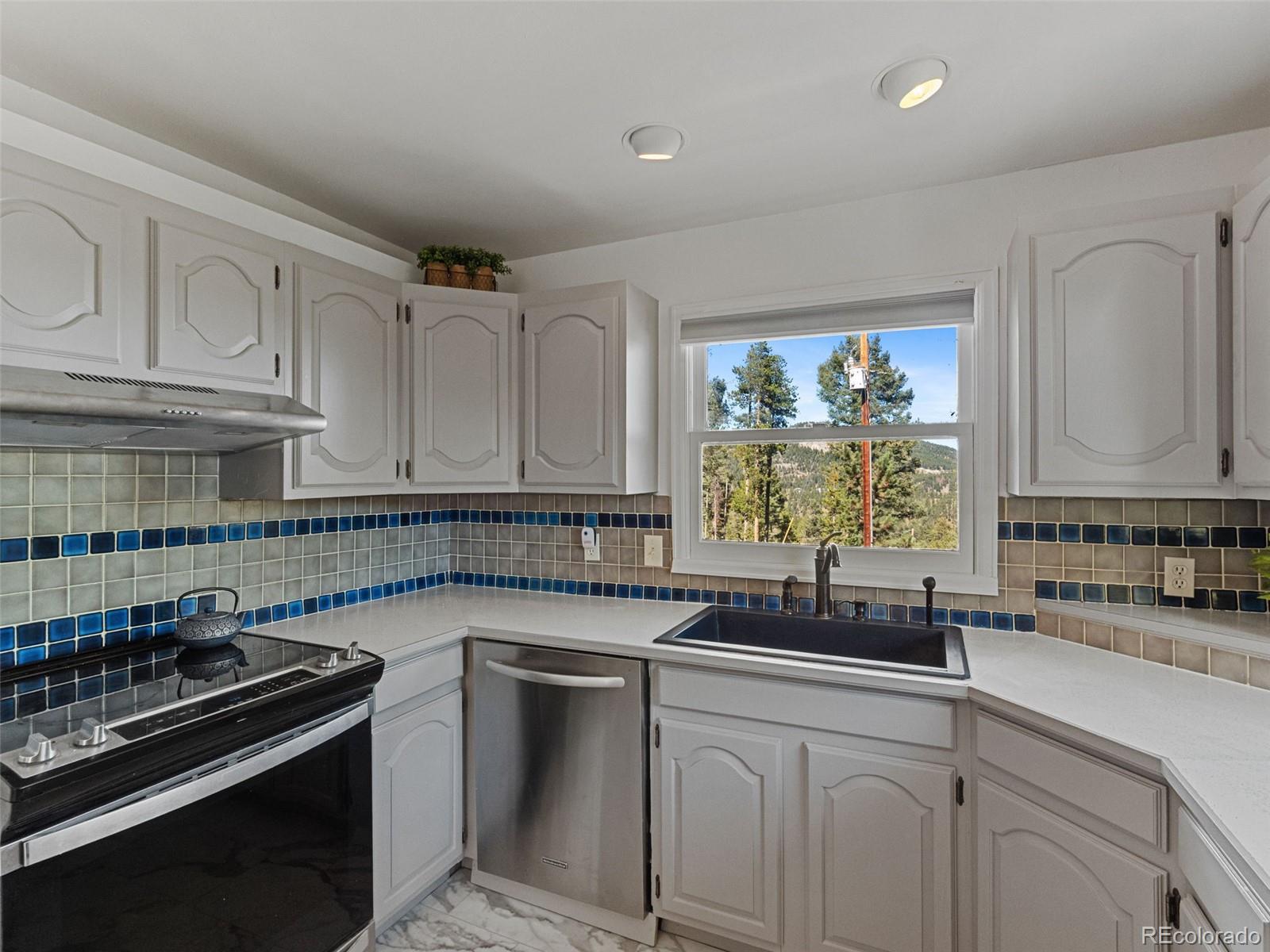 MLS Image #19 for 11825  little turtle lane,conifer, Colorado