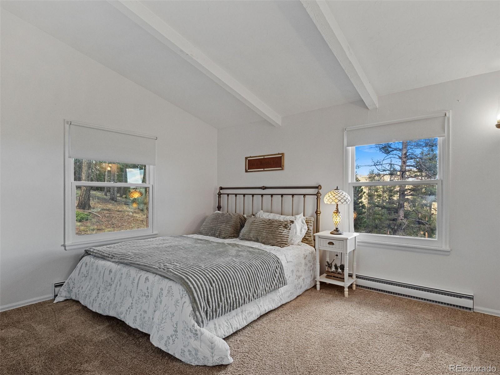 MLS Image #24 for 11825  little turtle lane,conifer, Colorado