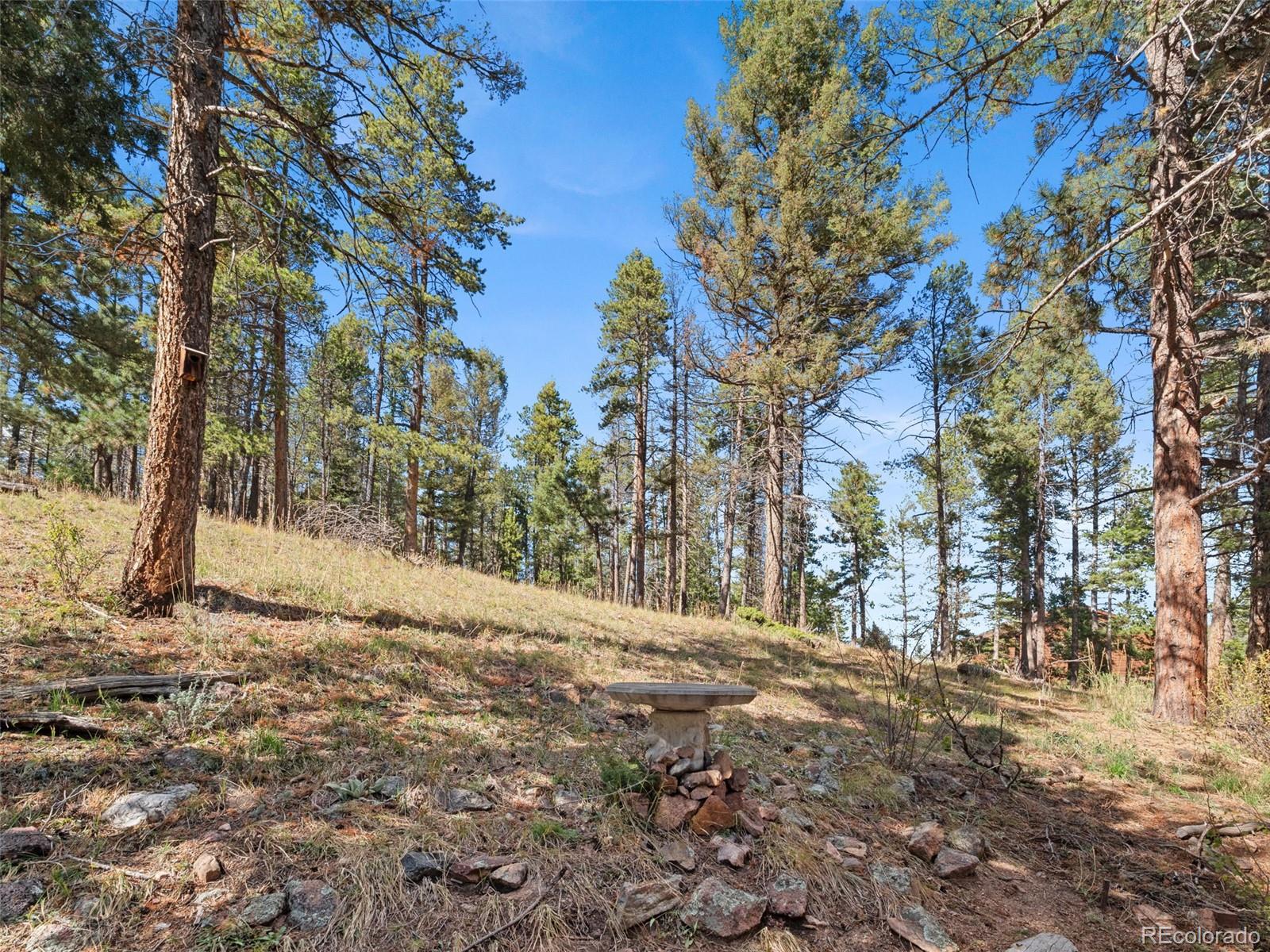 MLS Image #29 for 11825  little turtle lane,conifer, Colorado