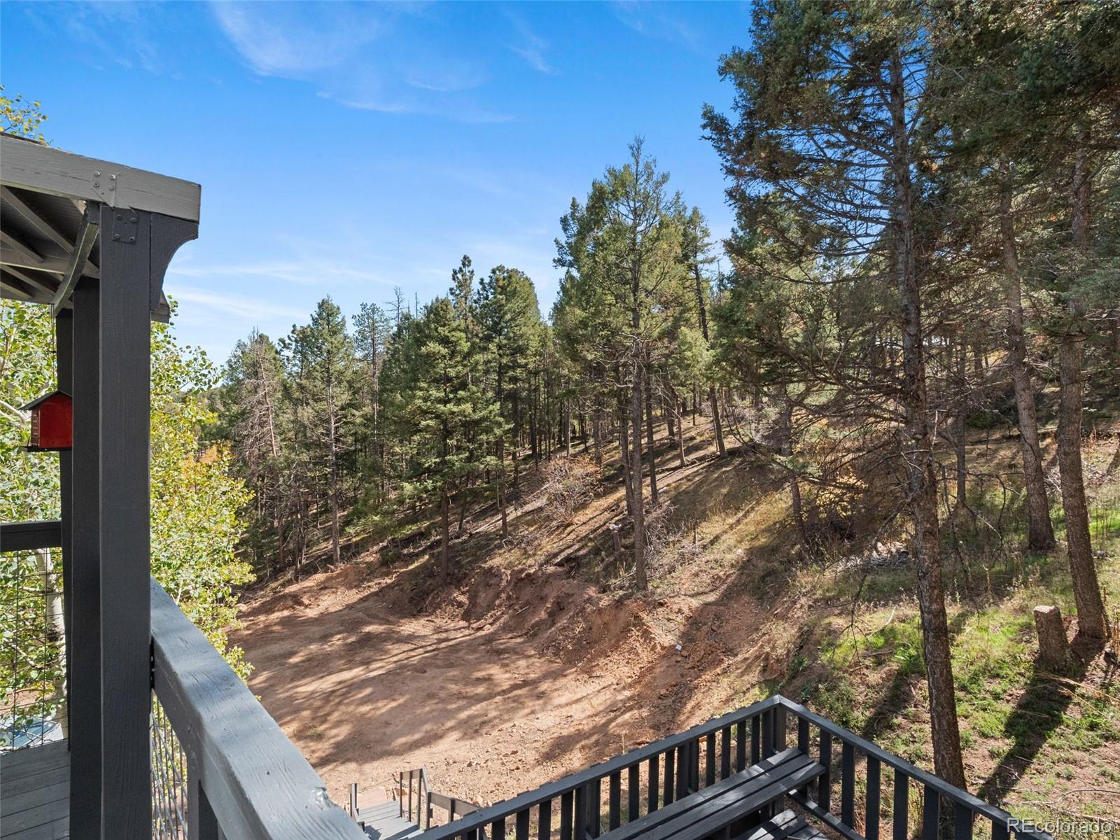 MLS Image #33 for 11825  little turtle lane,conifer, Colorado