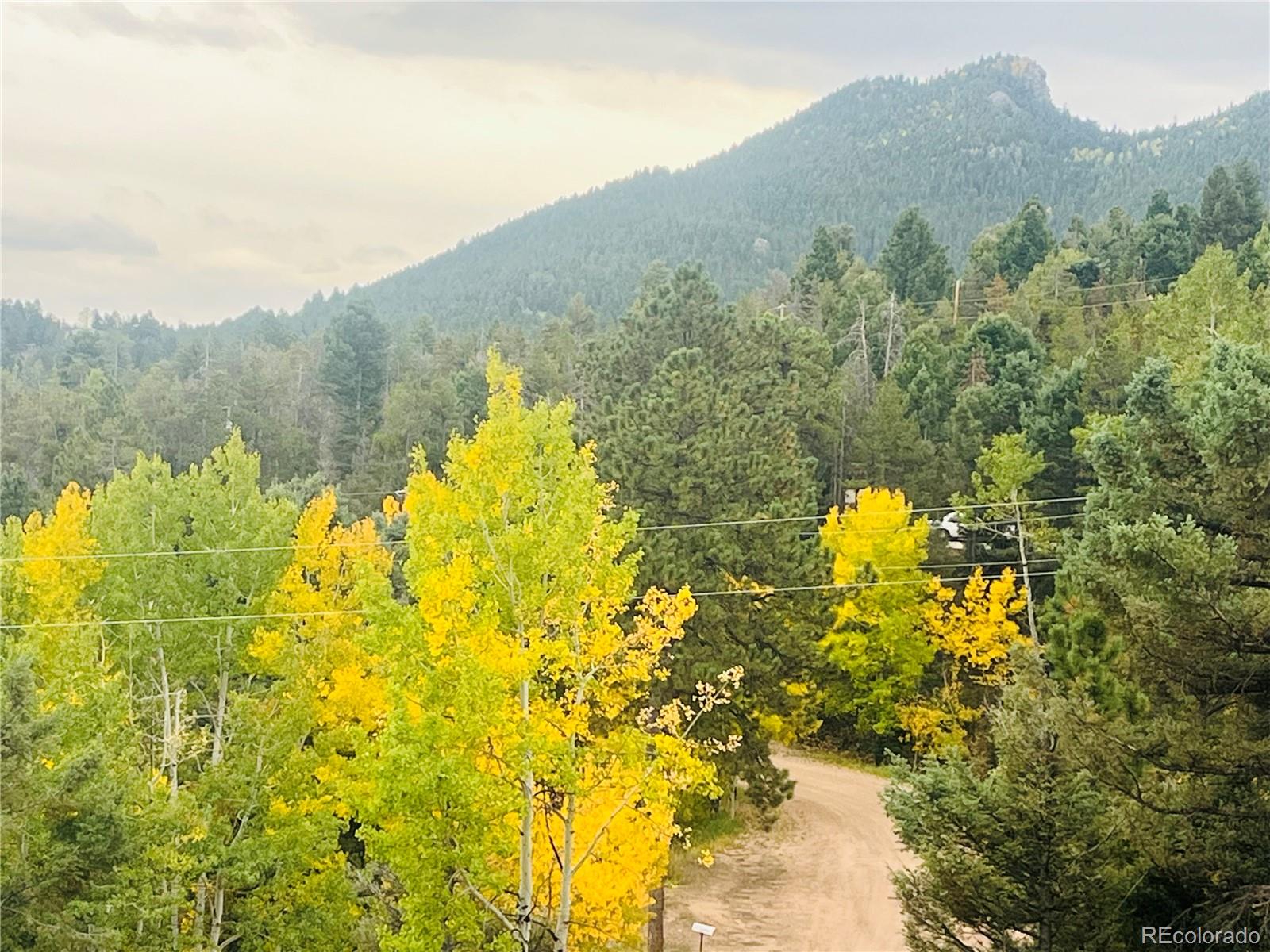 MLS Image #4 for 11825  little turtle lane,conifer, Colorado