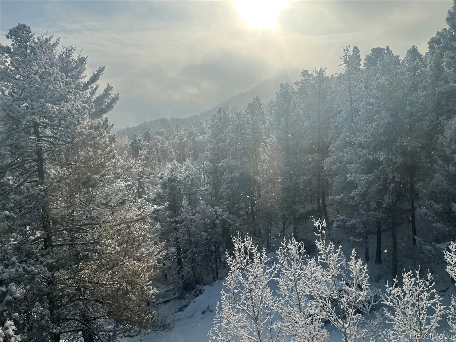 MLS Image #6 for 11825  little turtle lane,conifer, Colorado