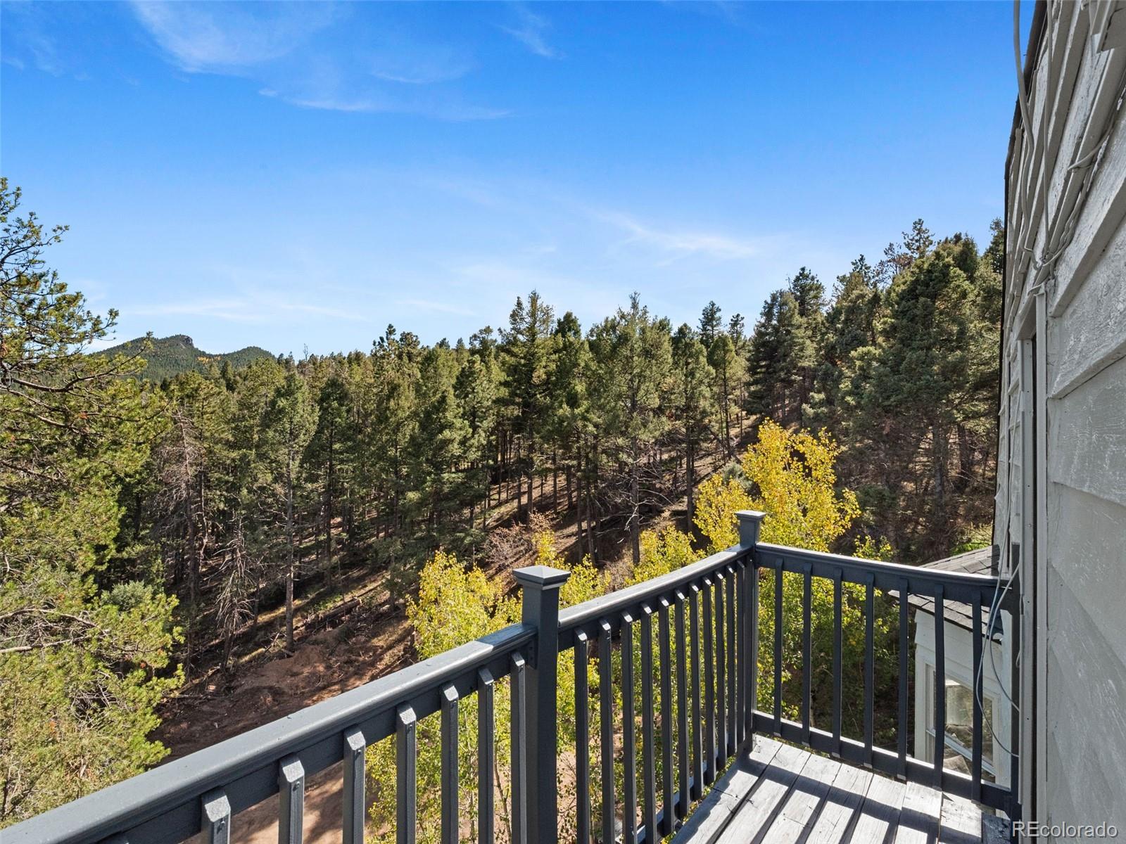 MLS Image #9 for 11825  little turtle lane,conifer, Colorado