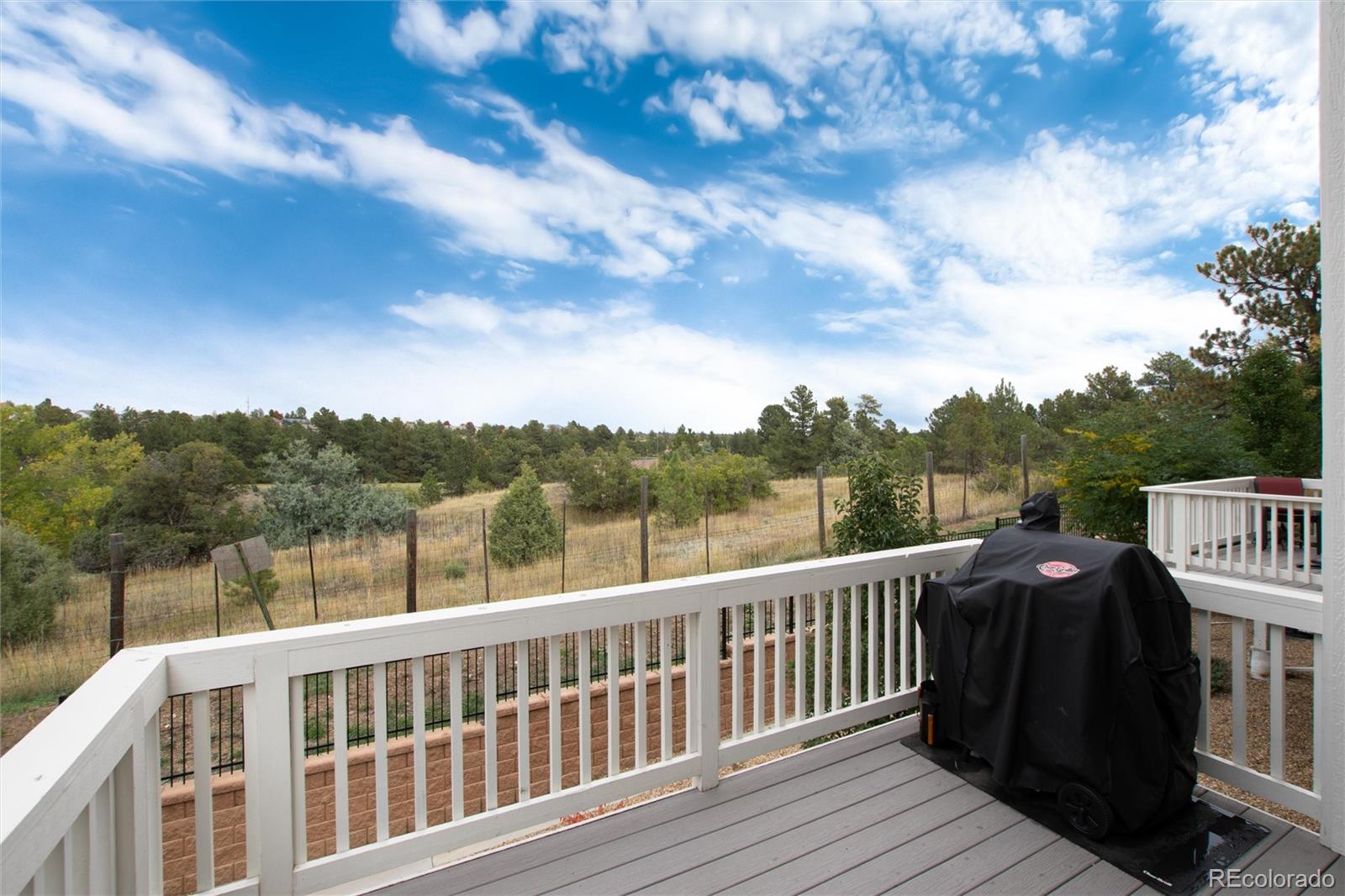 MLS Image #26 for 5938  still meadow place ,castle rock, Colorado