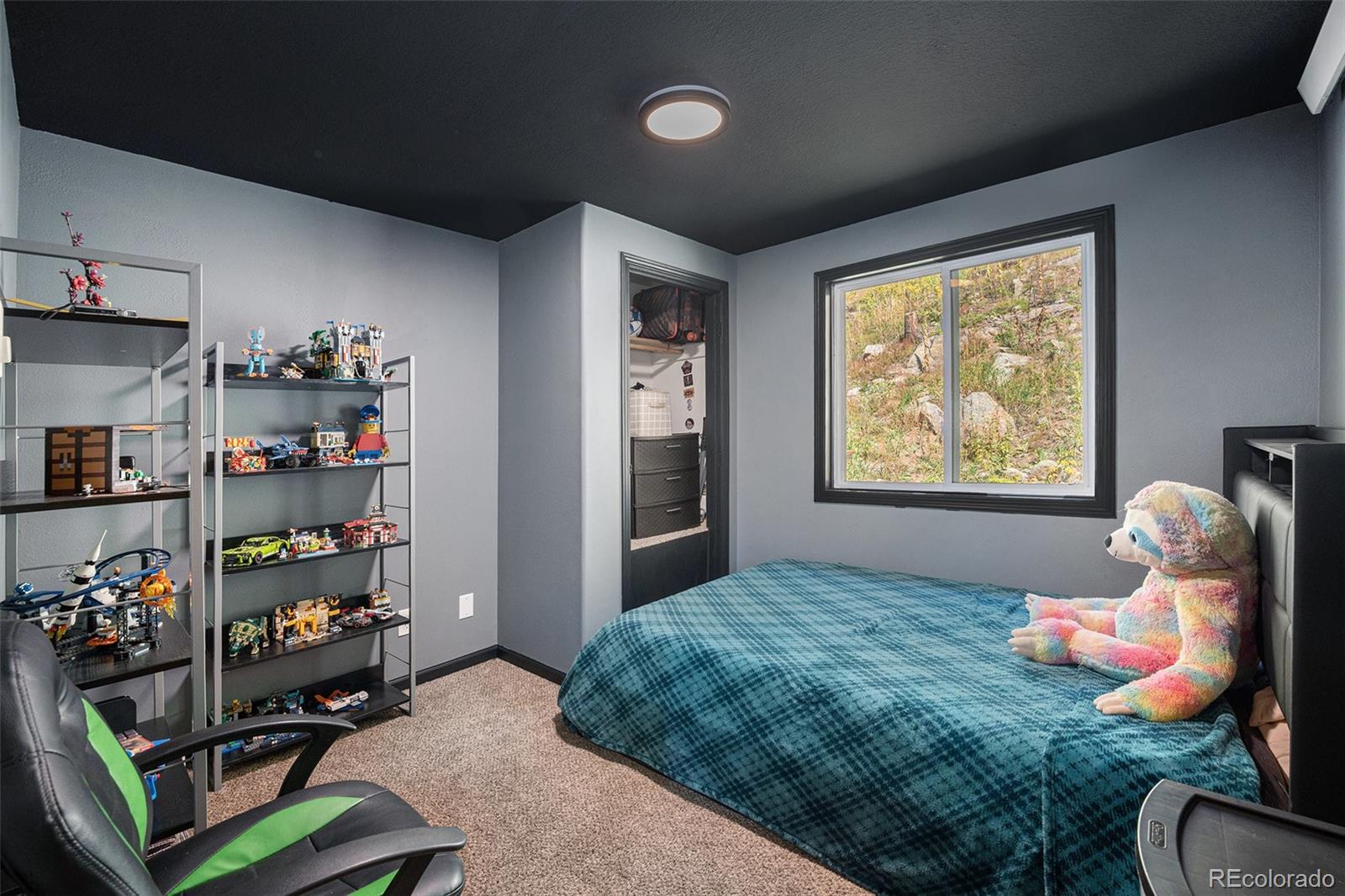 MLS Image #10 for 21795  indian springs road,conifer, Colorado