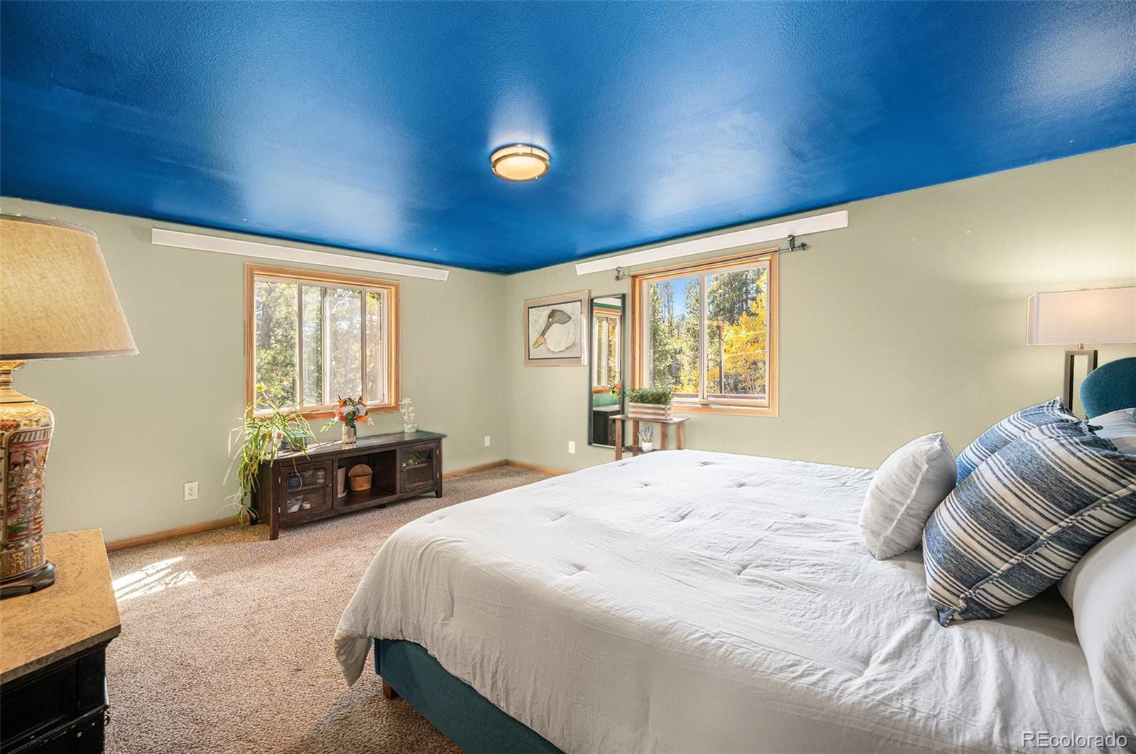 MLS Image #12 for 21795  indian springs road,conifer, Colorado
