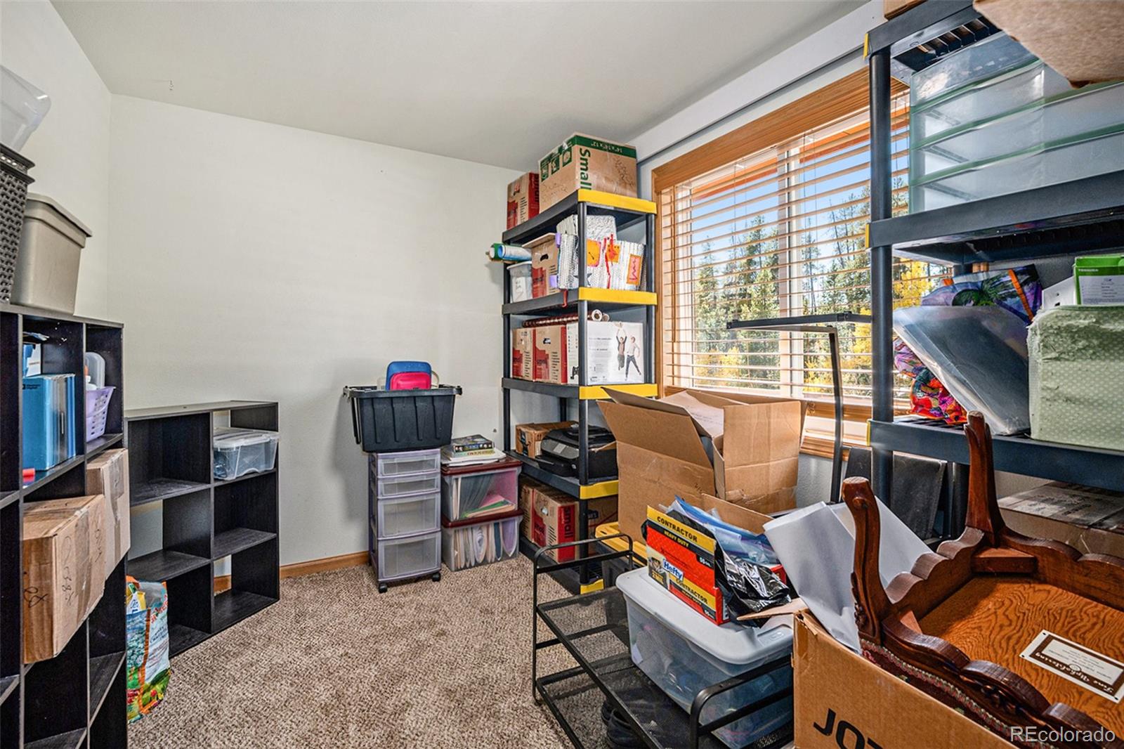 MLS Image #8 for 21795  indian springs road,conifer, Colorado
