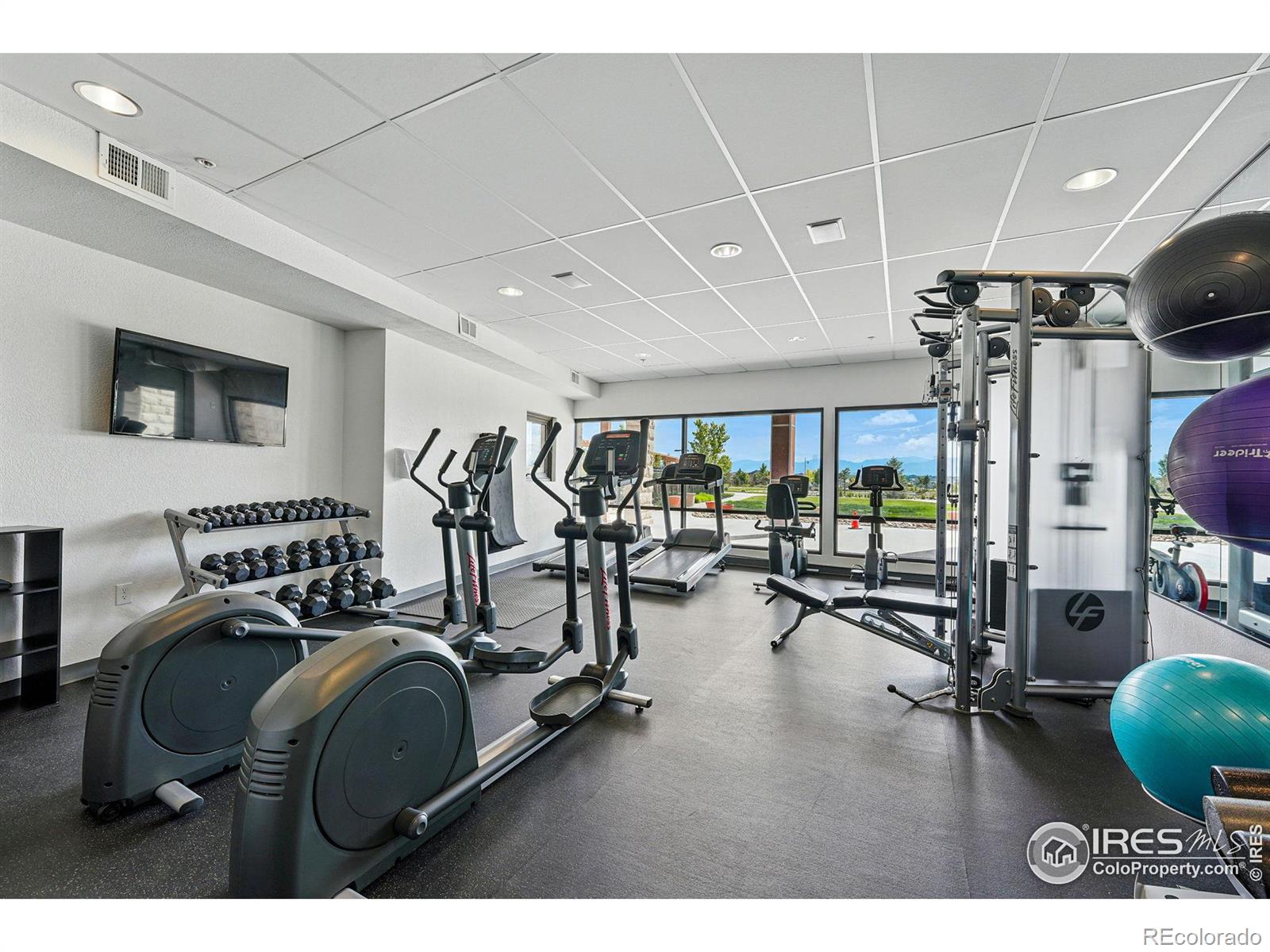 MLS Image #41 for 61  moonrise court,erie, Colorado