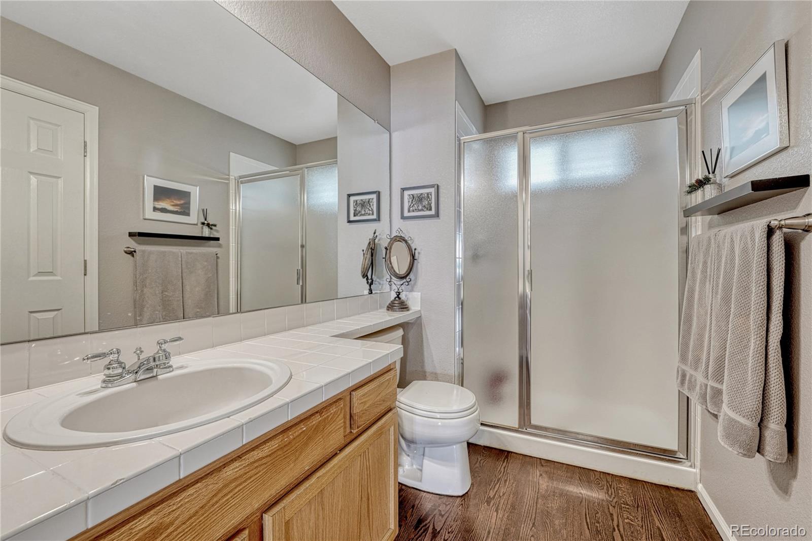 MLS Image #17 for 380  rose finch circle,highlands ranch, Colorado
