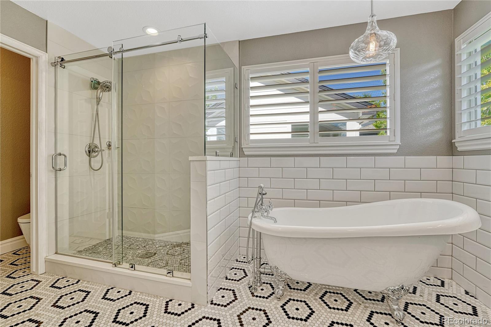 MLS Image #24 for 380  rose finch circle,highlands ranch, Colorado