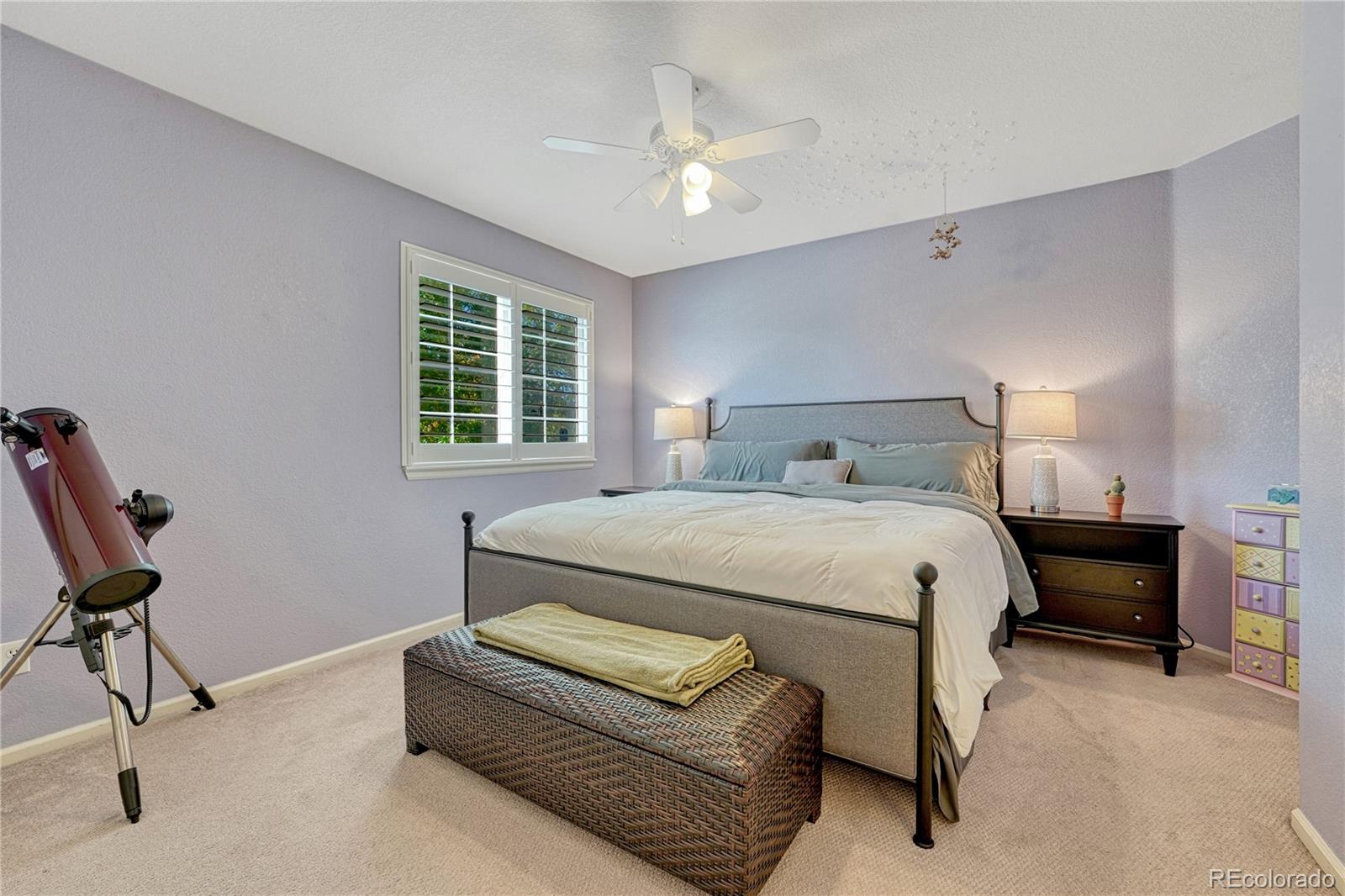 MLS Image #29 for 380  rose finch circle,highlands ranch, Colorado