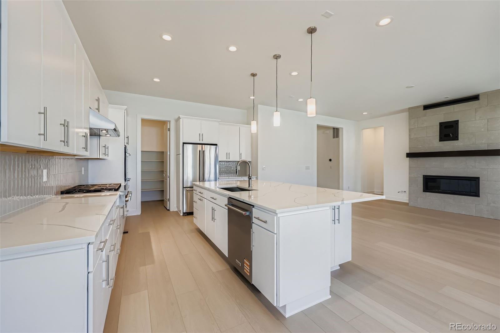 MLS Image #11 for 497  leafy aster lane,castle rock, Colorado