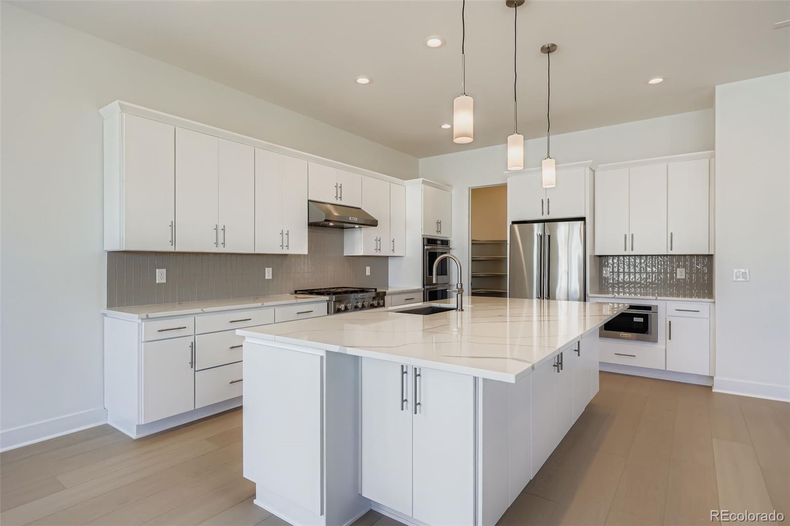MLS Image #12 for 497  leafy aster lane,castle rock, Colorado