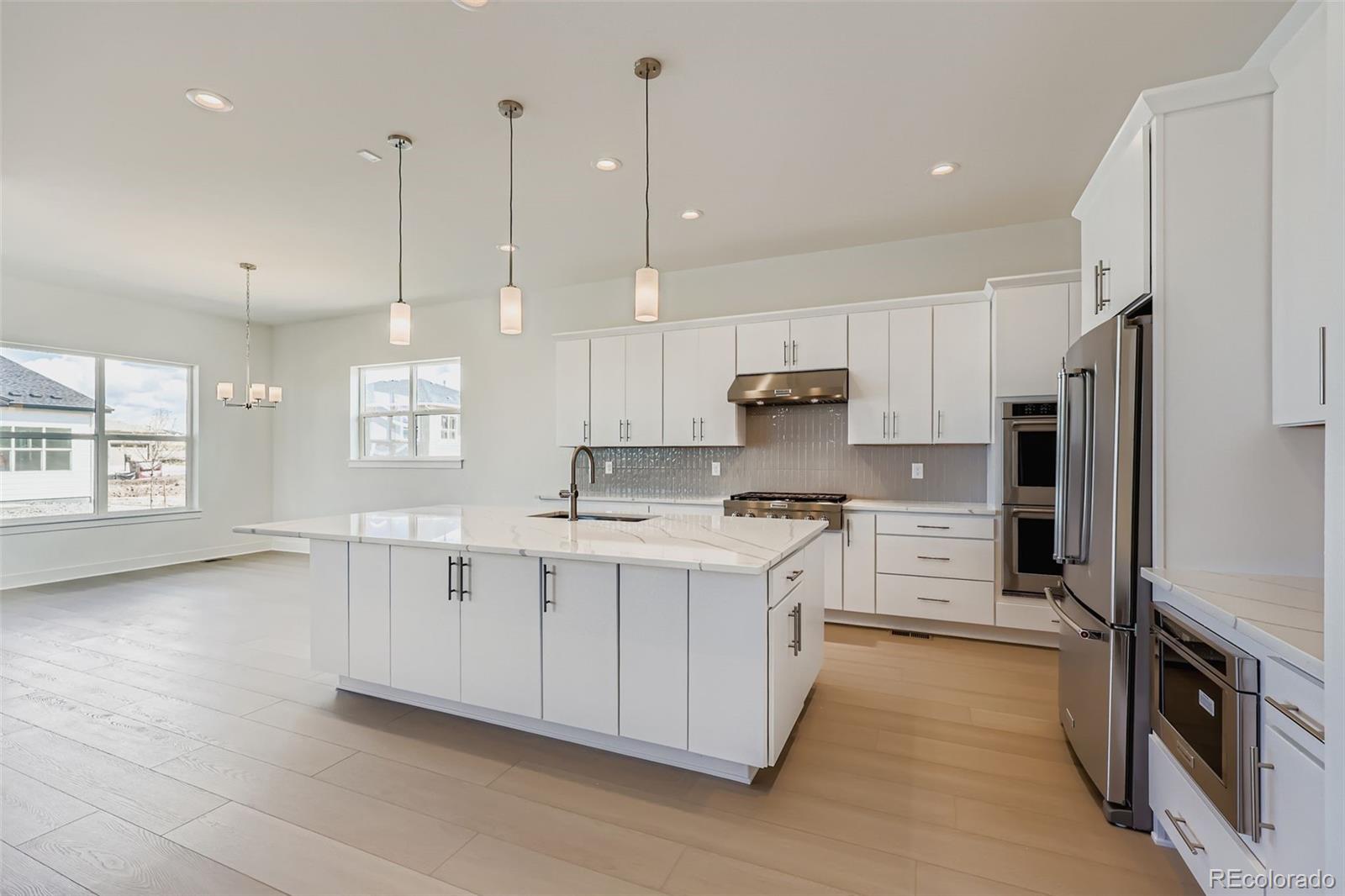 MLS Image #8 for 497  leafy aster lane,castle rock, Colorado