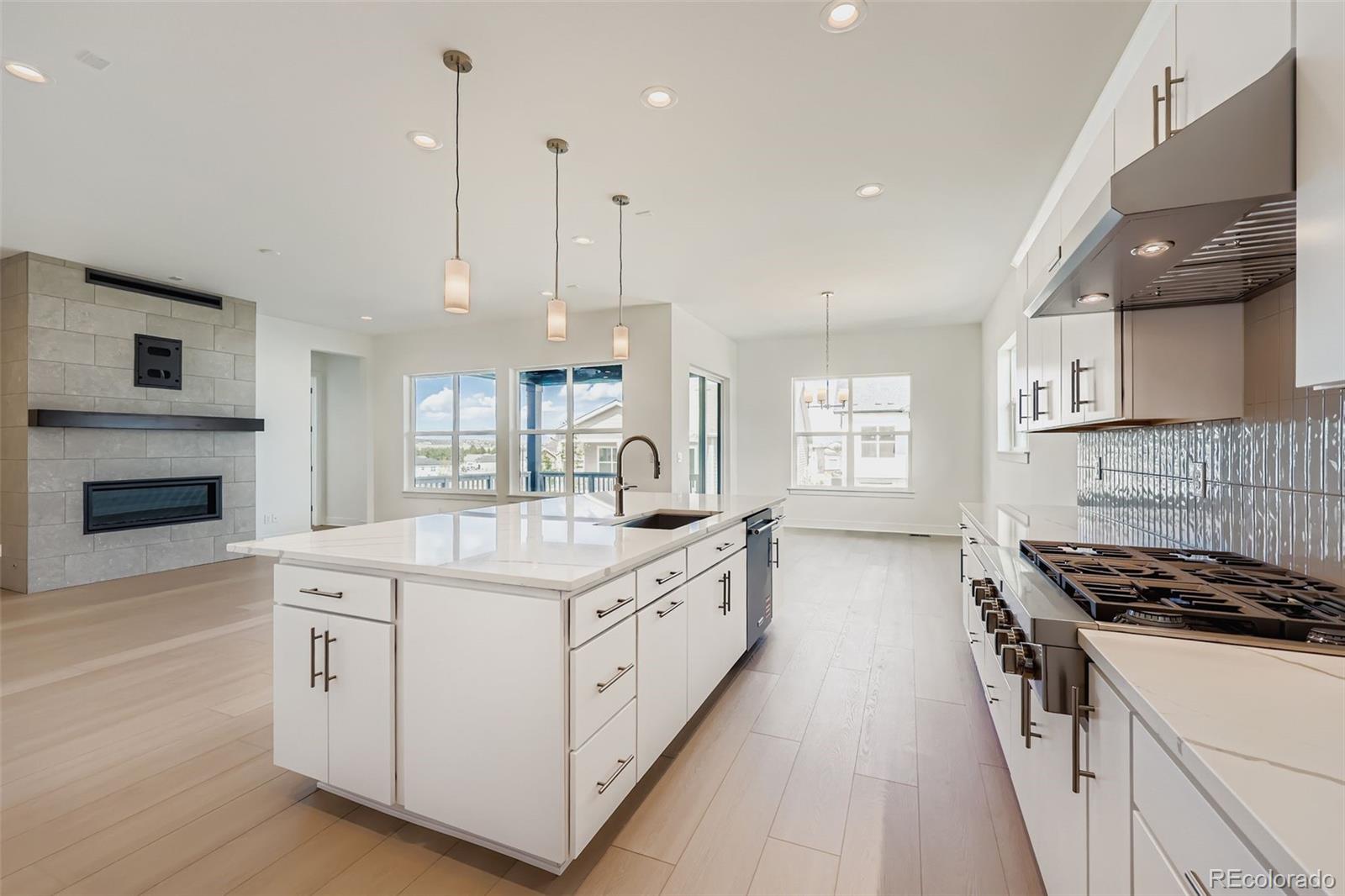MLS Image #9 for 497  leafy aster lane,castle rock, Colorado