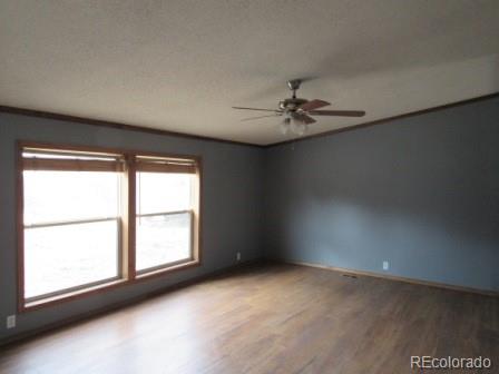 MLS Image #1 for 12855  cr 255 ,westcliffe, Colorado