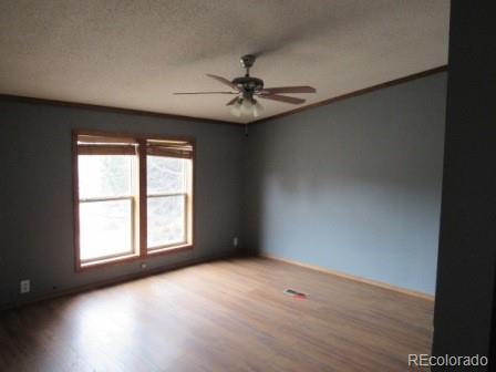 MLS Image #5 for 12855  cr 255 ,westcliffe, Colorado
