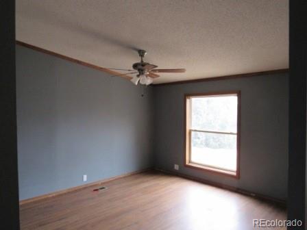 MLS Image #6 for 12855  cr 255 ,westcliffe, Colorado