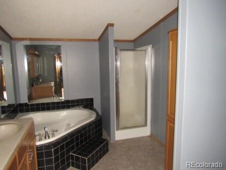 MLS Image #9 for 12855  cr 255 ,westcliffe, Colorado